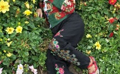 男女久久久视频2019